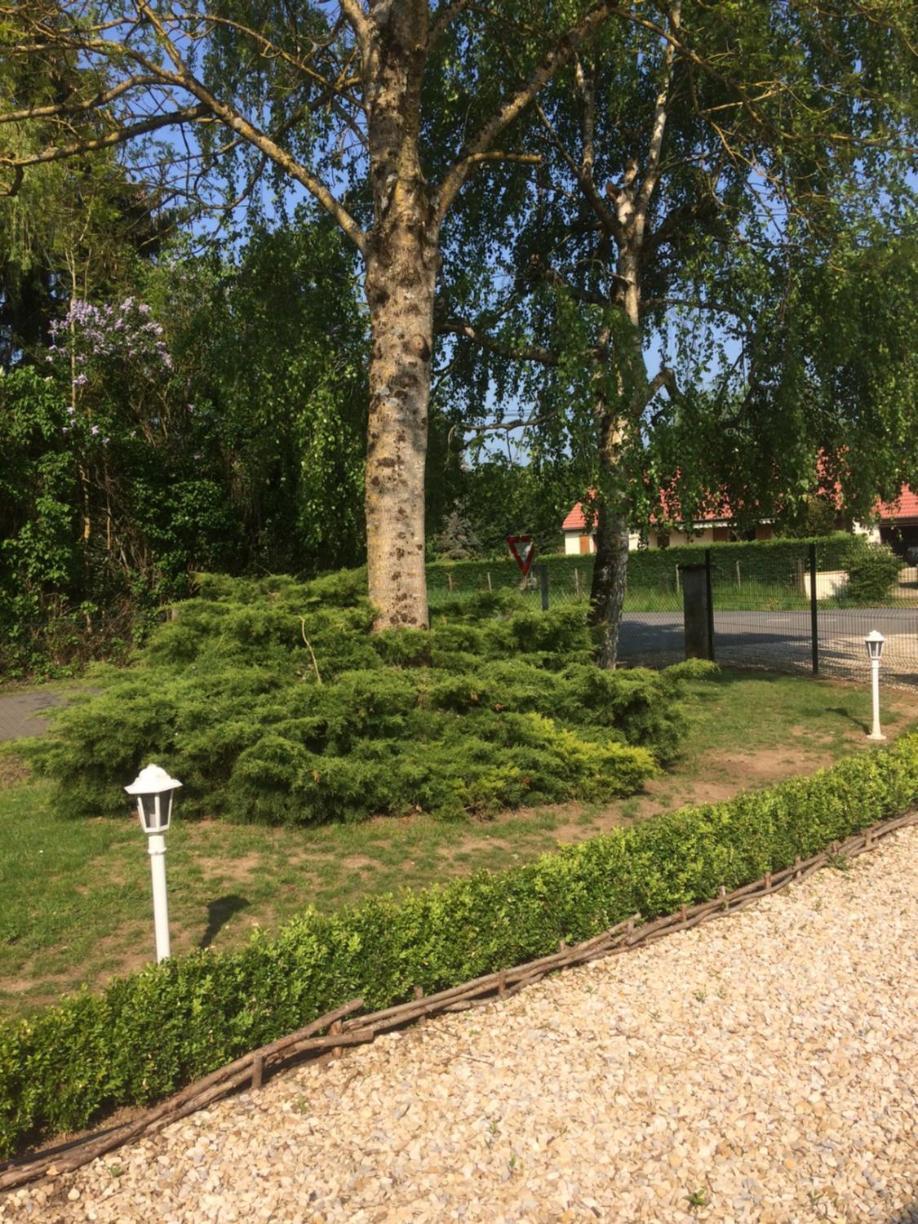Chambres D'Hotes D'Albertine Lere Zewnętrze zdjęcie